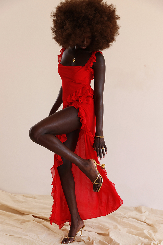 Ariel Cherry Pleated Maxi Elbise